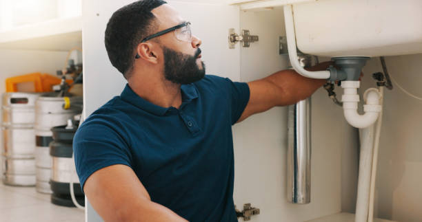 Best Garbage Disposal Repair and Installation  in Carrollton, MO